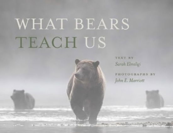 What Bears Teach Us - Sarah Elmeligi - Books - Rocky Mountain Books - 9781771606943 - May 30, 2024