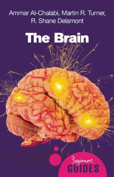 Cover for Ammar Al-chalabi · The Brain: A Beginner's Guide - Beginner's Guides (Paperback Book) [2 Revised edition] (2008)