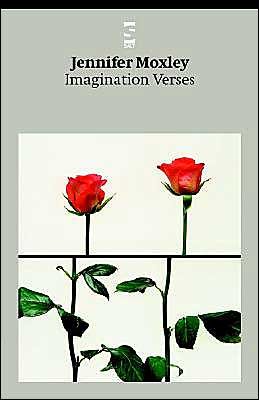 Ms Jennifer Moxley · Imagination Verses - Salt Modern Poets (Paperback Book) [2nd edition] (2003)