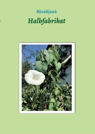 Cover for Fraulein Niranjana · Halbfabrikat (Paperback Bog) (2021)