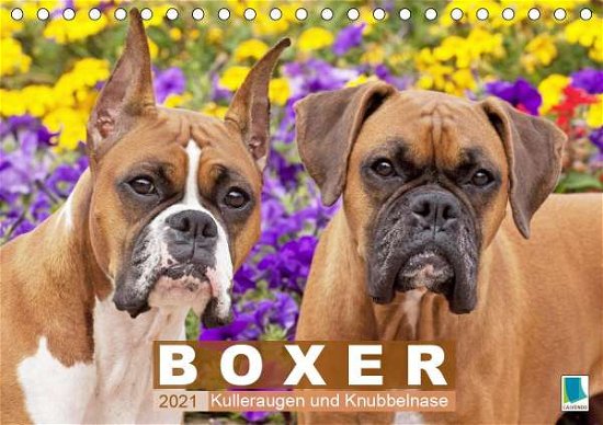 Cover for Boxer · Kulleraugen und Knubbelnase (Tis (Book)
