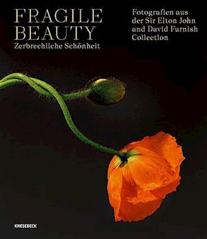 Cover for Duncan Forbes · Fragile Beauty – zerbrechliche Schönheit: Fotografien aus der Sir Elton John and David Furnish Collection (Book) (2024)