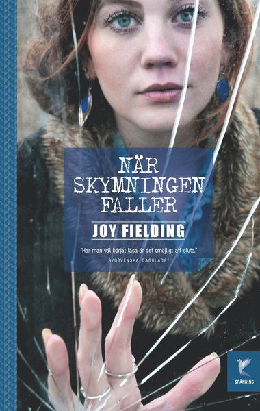 När skymningen faller - Joy Fielding - Books - Fenix Bokförlag - 9789175251943 - October 1, 2018