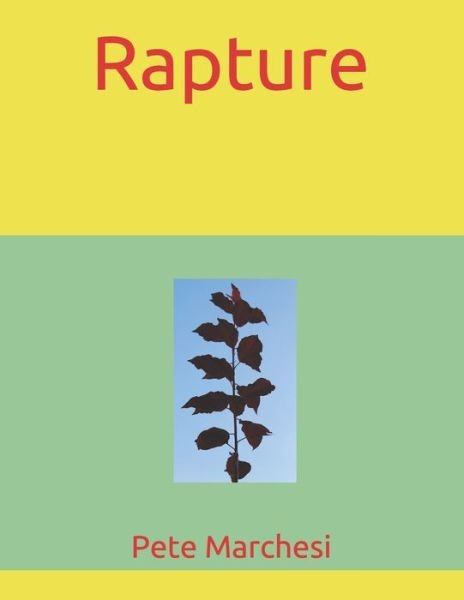 Rapture - Pete Marchesi - Books - Independently Published - 9798633120943 - April 1, 2020