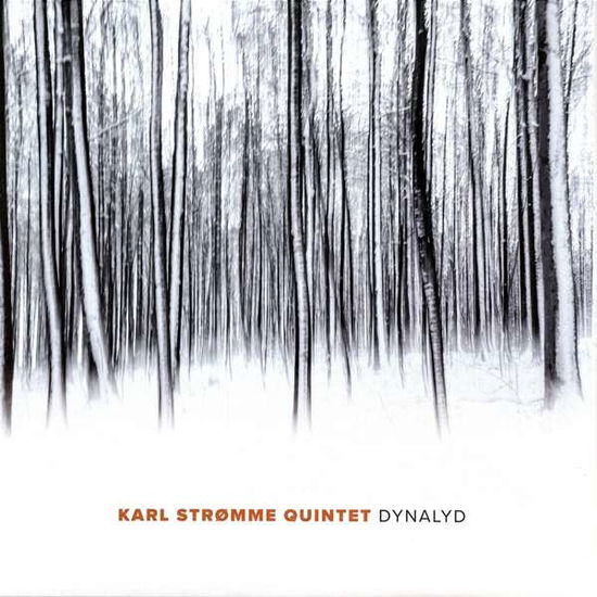 Cover for Karl -Quintet- Stromme · Dynalyd (LP) (2019)