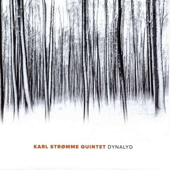 Cover for Karl -Quintet- Stromme · Dynalyd (LP) (2019)