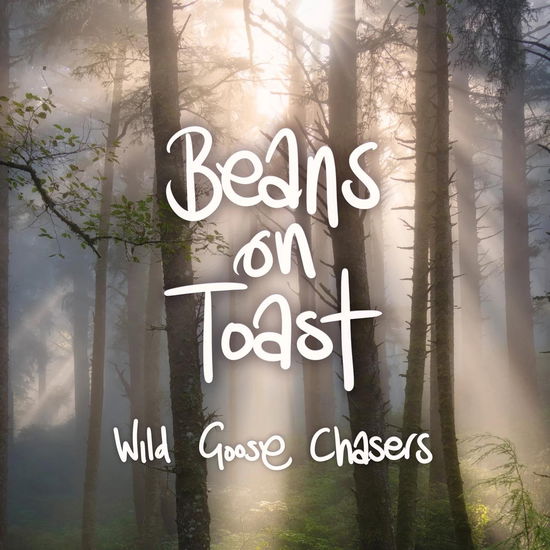 Cover for Beans on Toast · Wild Goose Chasers (LP) [Picture Disc edition] (2024)