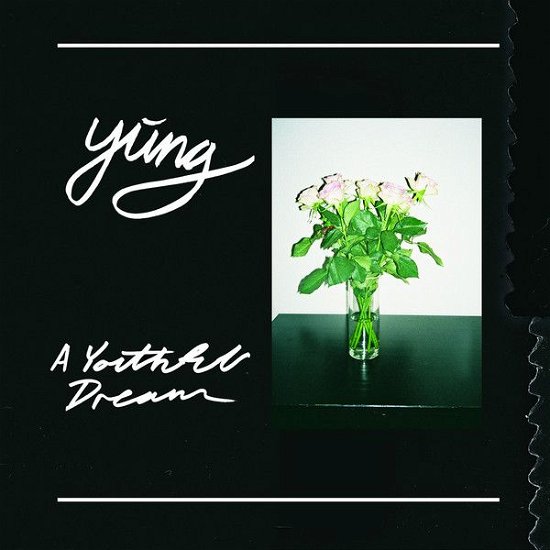 Cover for Yung · A Youthful Dream (LP) [Limited edition] (2016)