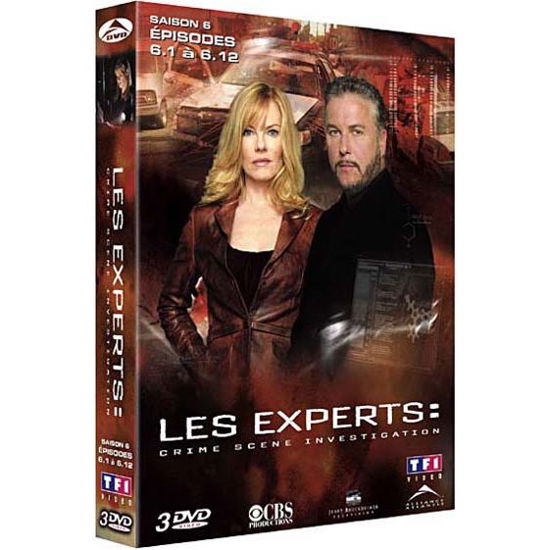 Cover for LES EXPERTS (Saison 6) · Episodes 6,1 ?6.12 (DVD) (2010)