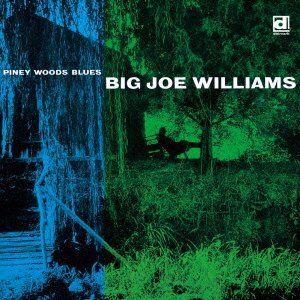Piney Woods Blues <limited> - Big Joe Williams - Musik - TRAFFIC, DELMARK - 4995879202944 - 19. februar 2014