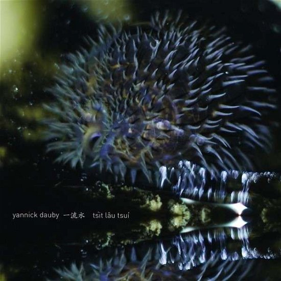 Cover for Yannick Dauby · Penghu Experimental Sound Studio 1 (LP) (2015)