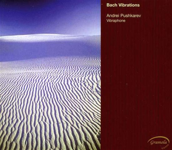 Cover for Bach,j.s. / Pushkarev · Bach Vibrations (CD) (2010)