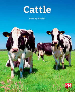 Cover for Beverley Randell · Cattle (Paperback Book)