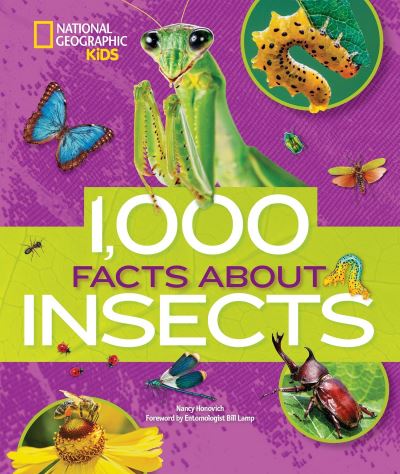 Cover for Nancy Honovich · 1,000 Facts About Insects (Inbunden Bok) (2018)