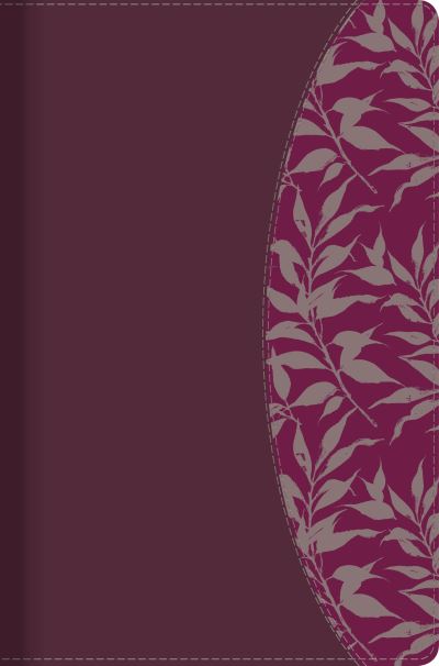 Cover for Dorothy Kelley Patterson · RVR 1960 Biblia de Estudio para Mujeres, vino tinto / fucsia simil piel con indice (Leather Book) (2017)