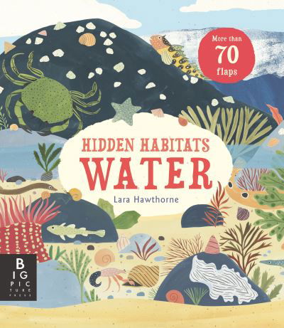 Cover for Lily Murray · Hidden Habitats: Water (Hardcover bog) (2021)