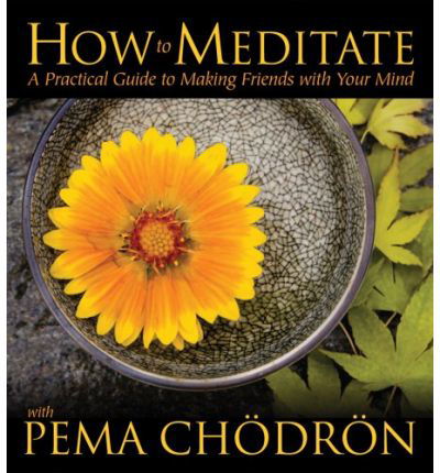 Cover for Pema Chodron · How to Meditate with Pema Chodron: A Practical Guide to Making Friends with Your Mind (Lydbok (CD)) [Unabridged edition] (2008)