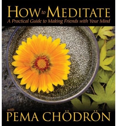Cover for Pema Chodron · How to Meditate with Pema Chodron: A Practical Guide to Making Friends with Your Mind (Audiobook (CD)) [Unabridged edition] (2008)