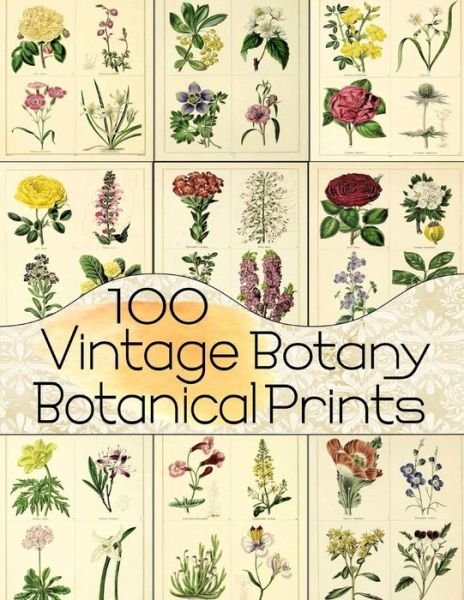 Cover for C Anders · 100 Vintage Botany Botanical Prints - Floral Ephemera (Paperback Bog) (2018)