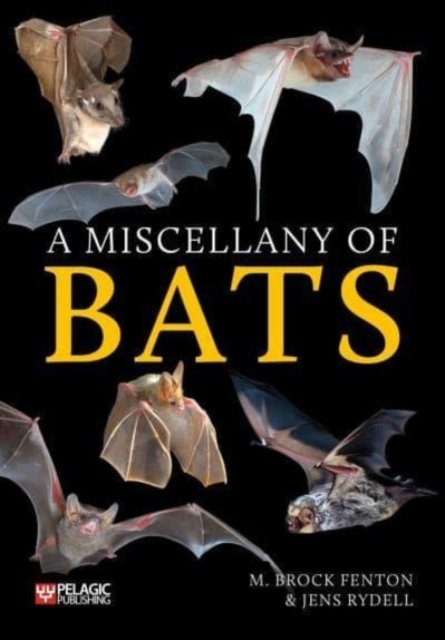 Cover for M. Brock Fenton · A Miscellany of Bats - Bat Biology and Conservation (Paperback Book) (2023)