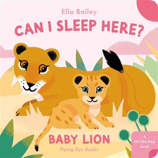 Cover for Ella Bailey · Can I Sleep Here Baby Lion (Kartonbuch) (2024)