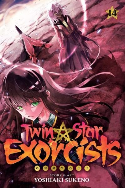 Twin Star Exorcists, Vol. 14: Onmyoji - Twin Star Exorcists - Yoshiaki Sukeno - Bøker - Viz Media, Subs. of Shogakukan Inc - 9781974703944 - 24. januar 2019