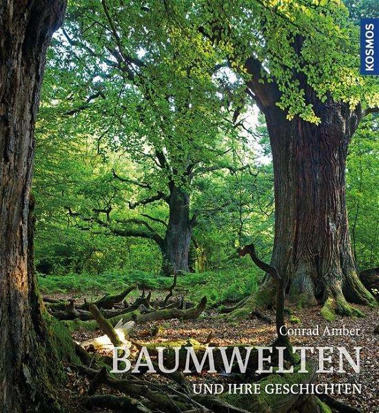 Cover for Amber · Baumwelten (Bog)
