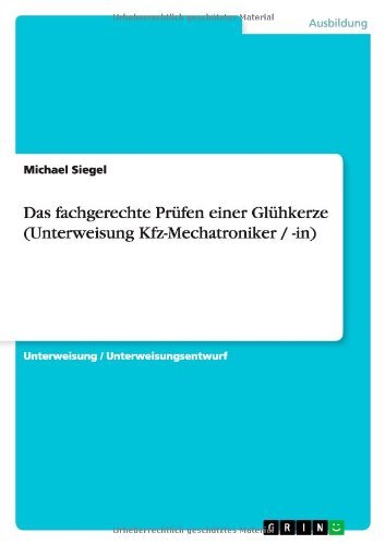 Cover for Siegel · Das fachgerechte Prüfen einer Gl (Bog) [German edition] (2013)