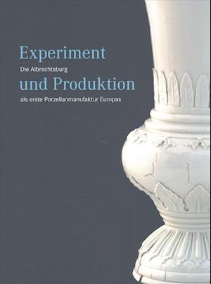 Cover for Sandstein Verlag · Experiment Und Produktion (Paperback Book) (2010)