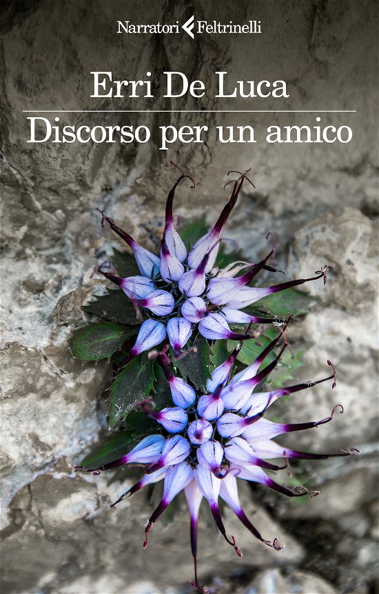 Cover for Erri De Luca · Discorso Per Un Amico (Book)