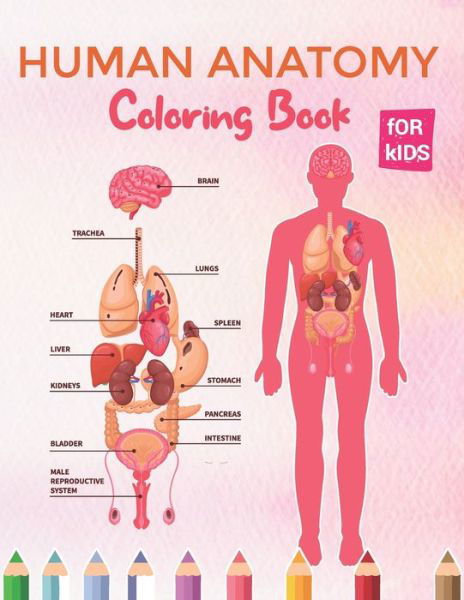 Cover for Bokulphool Anatomy Publication · Human Anatomy Coloring Book For Kids: Essential Human Body Part Coloring Activity Book for Children's &amp; Teenagers - First Biology Learn Book For Boys &amp; Girl to Know Body Function - Medical Book For Student - Anatomy &amp; Physiology Coloring Book for Gift (Paperback Book) (2020)