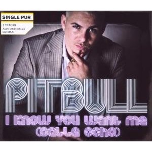 Cover for Pitbull · I Know You Want Me (SCD) (2009)