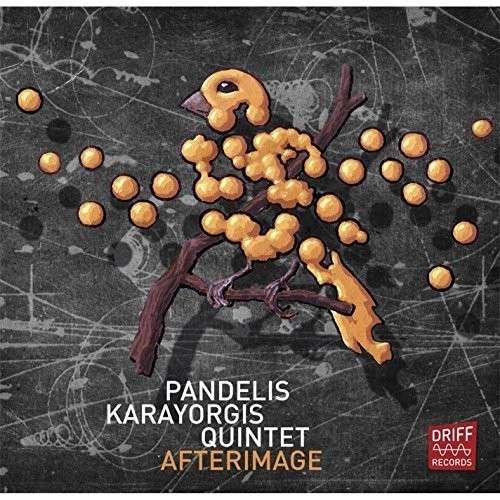 Cover for Pandelis Quintet Karayorgis · Afterimage (CD) (2014)