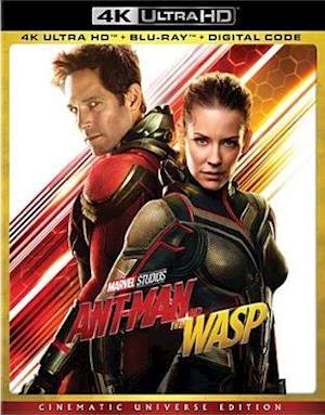 Cover for Ant-man &amp; the Wasp (4K UHD Blu-ray) (2018)