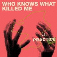 Cover for The Practice · Daburyueichio Knows What Kille (CD) [Japan Import edition] (2019)