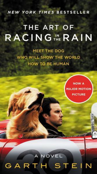 The Art of Racing in the Rain Movie Tie-in Edition: A Novel - Garth Stein - Livros - HarperCollins - 9780062370945 - 30 de julho de 2019