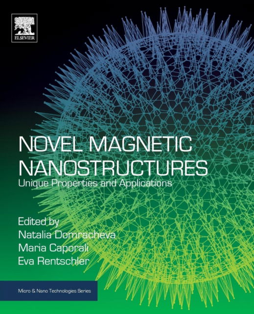 Cover for Eva Rentschler · Novel Magnetic Nanostructures: Unique Properties and Applications - Micro &amp; Nano Technologies (Paperback Book) (2018)