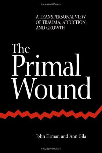 The Primal Wound: A Transpersonal View of Trauma, Addiction, and Growth - SUNY series in the Philosophy of Psychology - John Firman - Boeken - State University of New York Press - 9780791432945 - 25 april 1997