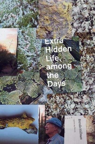 Cover for Brenda Hillman · Extra Hidden Life, among the Days (Paperback Book) (2019)