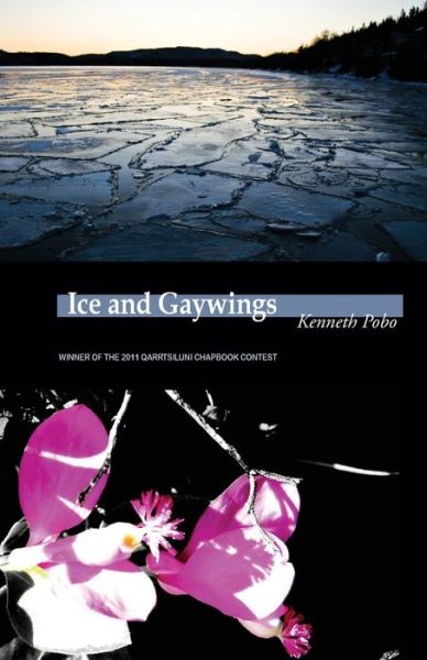 Ice and Gaywings - Kenneth Pobo - Books - Phoenicia Publishing - 9780986690945 - November 1, 2011