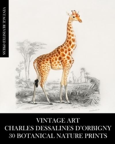 Cover for Vintage Revisited Press · Vintage Art (Paperback Book) (2024)