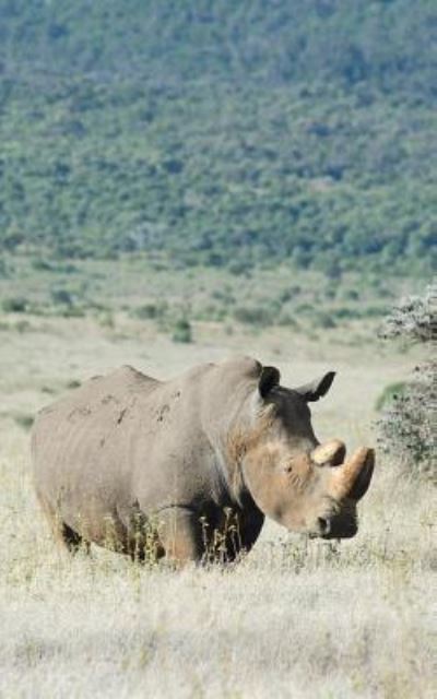 Cover for Eva-Lotta Jansson · Alive! white rhino - Natural - Photo Art Notebooks (Paperback Book) (2016)