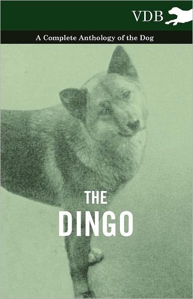 The Dingo - a Complete Anthology of the Dog - - V/A - Kirjat - Vintage Dog Books - 9781445525945 - torstai 21. lokakuuta 2010