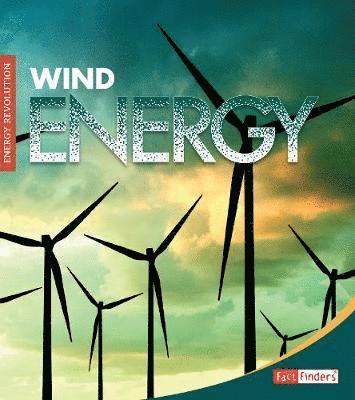 Cover for Christine Elizabeth Eboch · Wind Energy - Energy Revolution (Paperback Book) (2020)