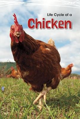 Cover for Angela Royston · Life Cycle of a Chicken (Paperback Book) (2015)