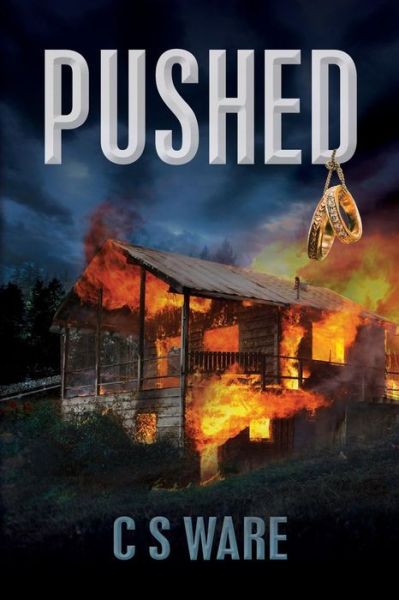 Cover for C S Ware · Pushed (Paperback Book) [Lrg edition] (2013)