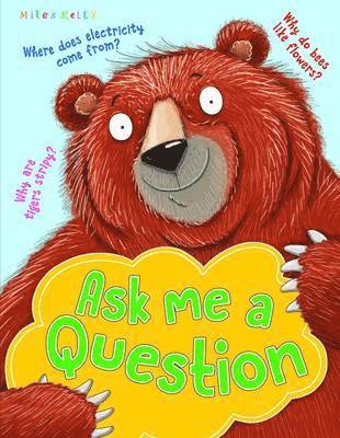 My Fun Book of Questions & Answers - Kelly Miles - Books - Miles Kelly Publishing Ltd - 9781786172945 - August 1, 2017