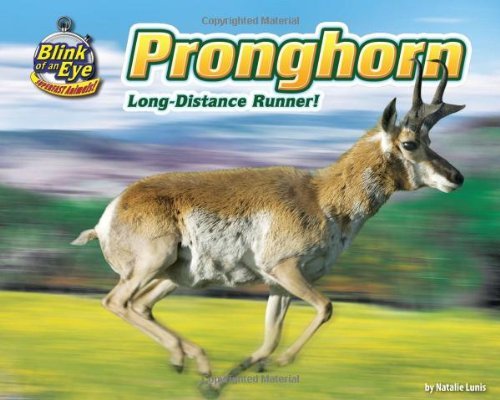 Cover for Natalie Lunis · Pronghorn: Long-distance Runner! (Blink of an Eye: Superfast Animals) (Inbunden Bok) (2010)