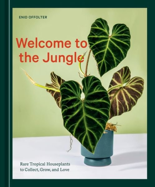 Cover for Enid Offolter · Welcome to the Jungle: Rare Tropical Houseplants to Collect, Grow, and Love (Hardcover Book) (2022)