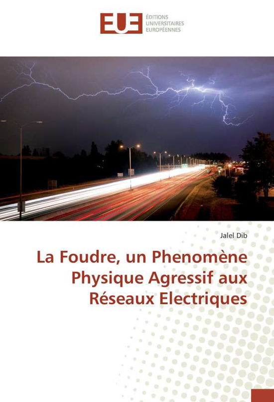 Cover for Dib · La Foudre, un Phenomène Physique Ag (Book)